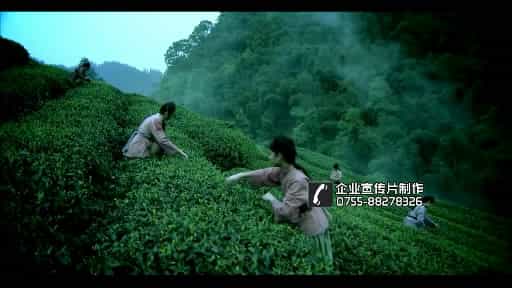 天圃-茶叶品牌文化宣传片（导演推介版本） - 深圳拍摄品牌宣传片 - 深圳映画传媒
