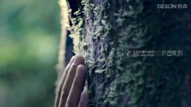 家具品牌柏森家具品牌宣传片推荐 - 深圳拍摄品牌宣传片 - 深圳映画传媒