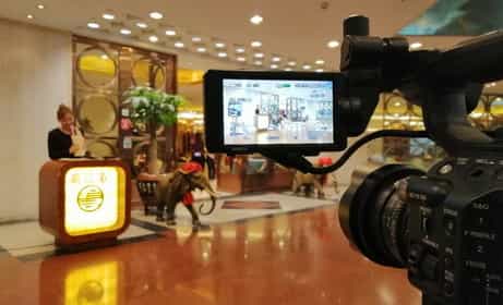 餐饮企业宣传片拍摄制作中（潮江春） - 深圳企业宣传片拍摄 - 深圳映画传媒