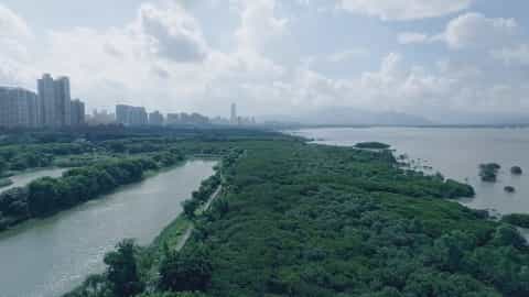 深圳环保公益宣传片-《城市因你而美》 - 深圳宣传片拍摄制作 - 深圳映画传媒
